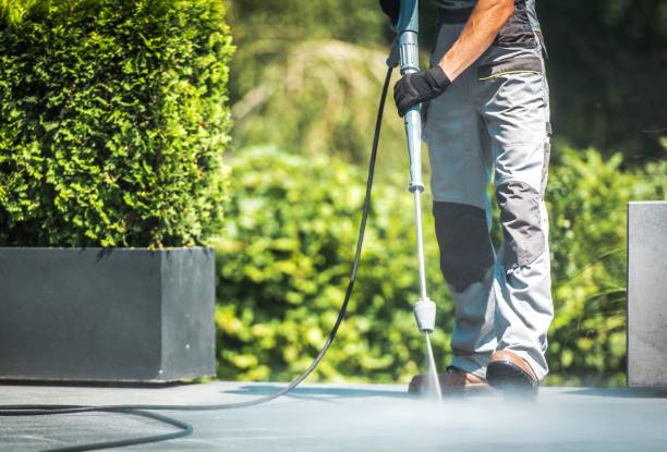 Best Graffiti Removal  in Mahomet, IL