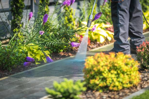 Best Warehouse Cleaning  in Mahomet, IL