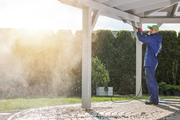 Best Solar Panel Cleaning  in Mahomet, IL